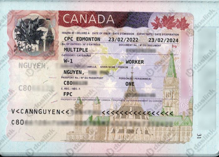 Worker visa của anh P. Nguyễn (đương đơn)