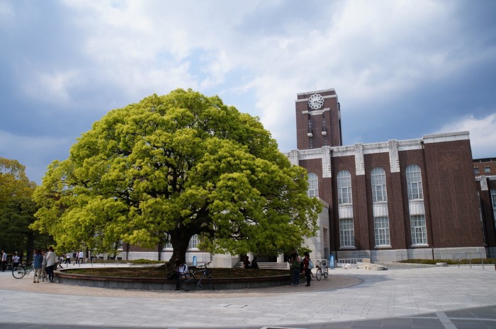 Đại học Kyoto Nhật Bản