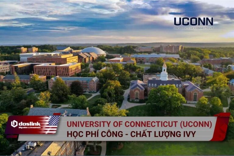 University of Connecticut