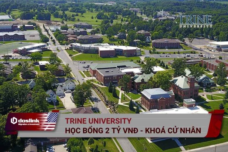 trine university