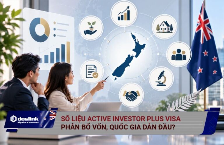 Thống kê hồ sơ Active Investor Plus Visa New Zealand mới nhất