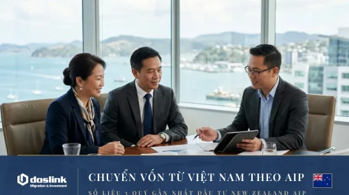 Active Investor Plus: Số liệu 5 quý và nút thắt chuyển vốn Việt Nam