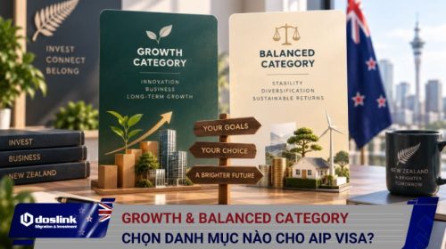 So sánh Growth Category và Balanced Category trong Active Investor Plus Visa