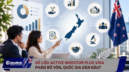 Thống kê hồ sơ Active Investor Plus Visa New Zealand mới nhất